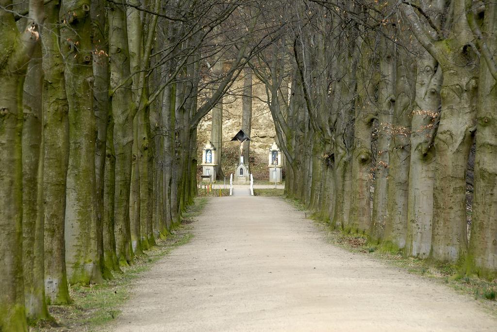 Huis Ter Geul Valkenburg aan de Geul Екстер'єр фото